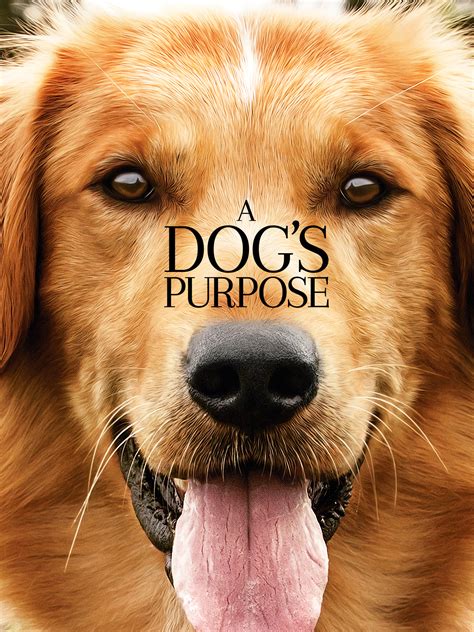 a dog's purpose online pl|a dogs purpose 2020 free.